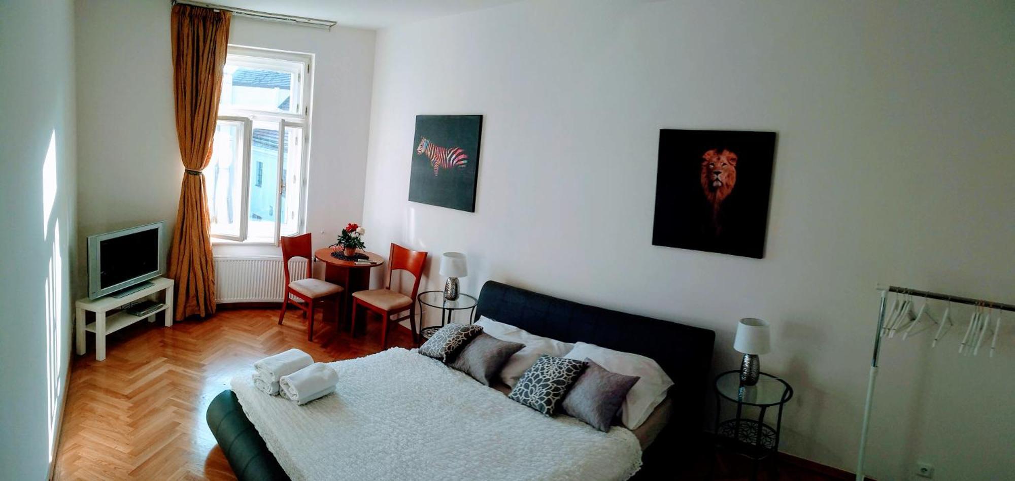 Pretty, Comfortable Apartment Prague